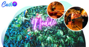 Le Noddi : un des meilleurs bars du quartier latin